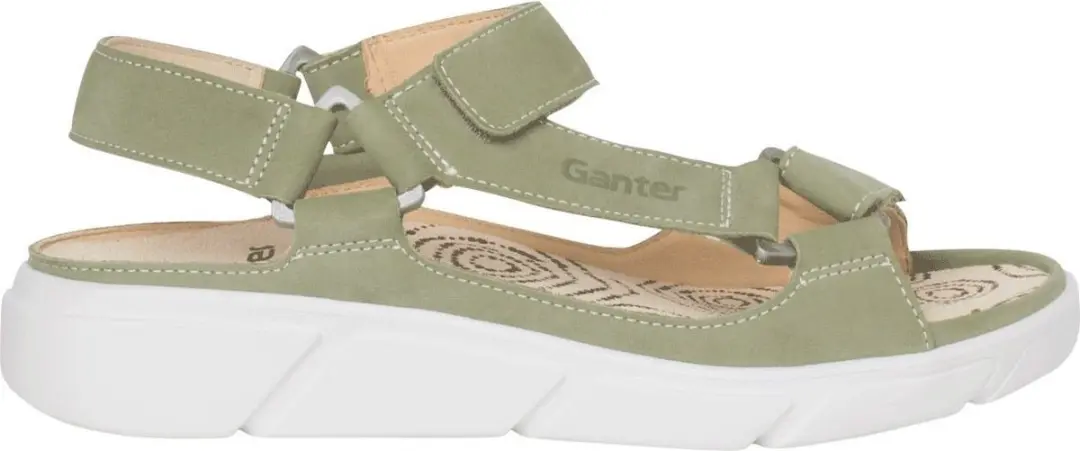 Ganter Halina