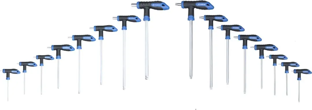 Hyundai 59551 T-greep Torx- en Inbussleutelset - 16-delig - afbeelding 5 van 6