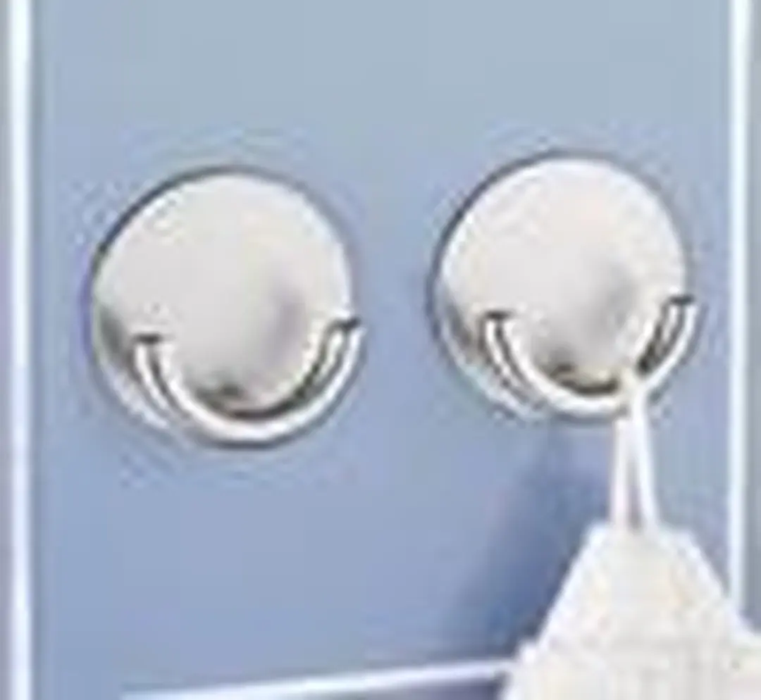 Wenko Rondo Wandhaak RVS 5,3cm - Matzilver - afbeelding 3 van 3