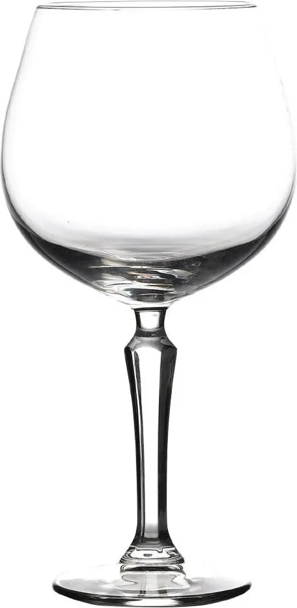 Onis Spksy Gin Tonicglazen 58 cl / 580 ml
