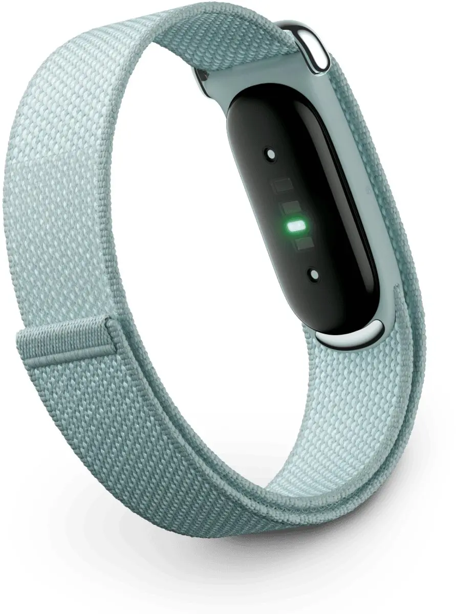 Fitbit Air GA11015-EU Activity Tracker - Groen/Grijs - afbeelding 3 van 6