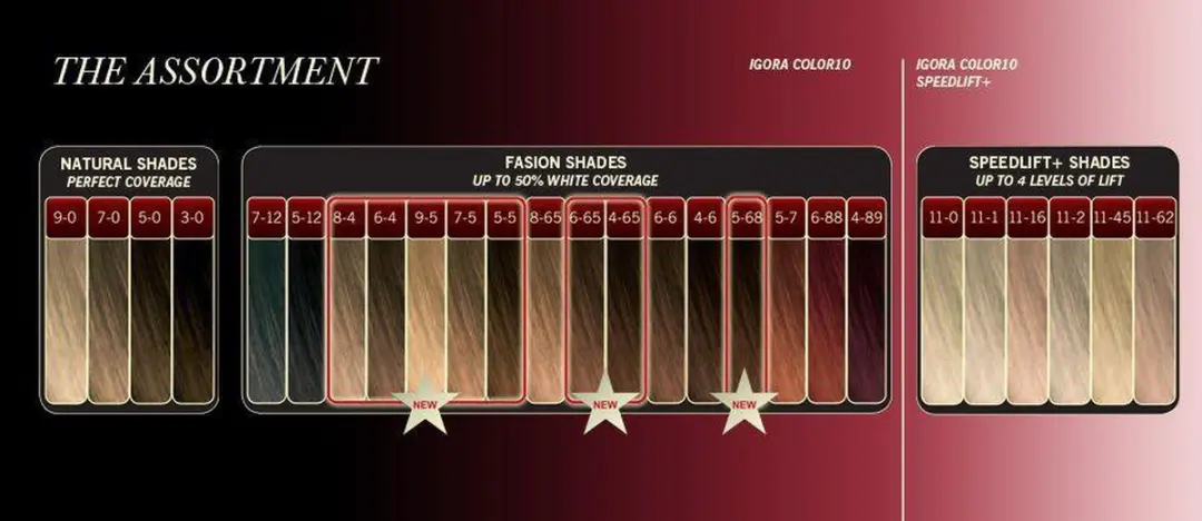 Schwarzkopf Igora Royal Color 10 7-7 - 60ml - afbeelding 5 van 6