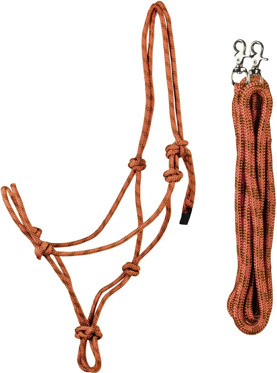 Halsband en longe voor wedstrijdpaard Horka