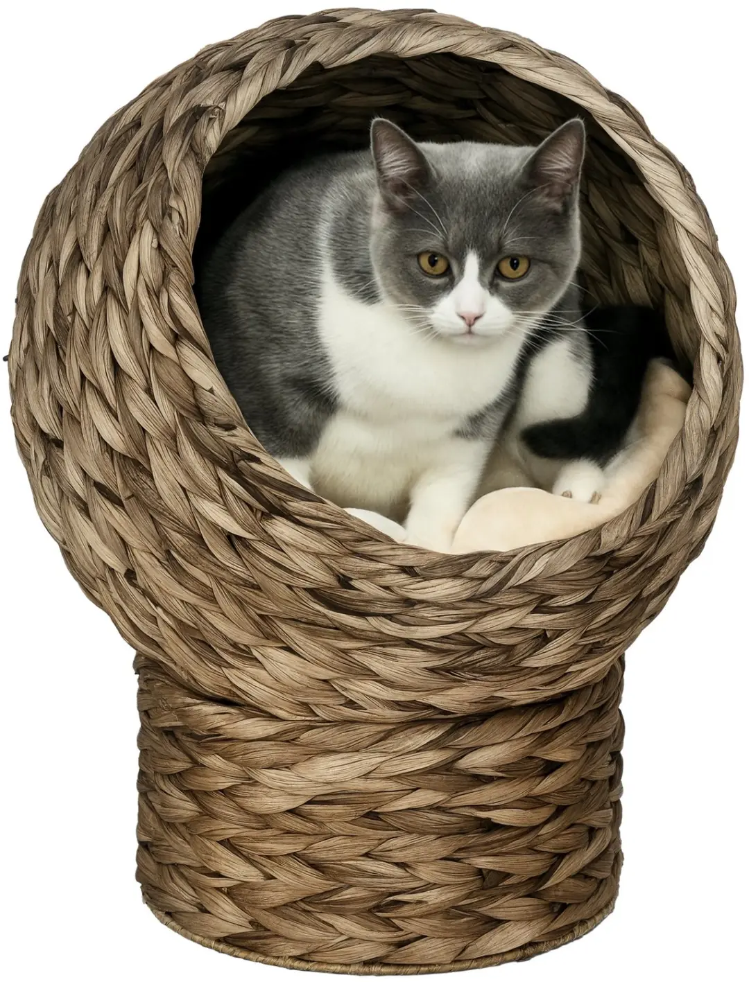 PawHut Rattan Kattenhuis