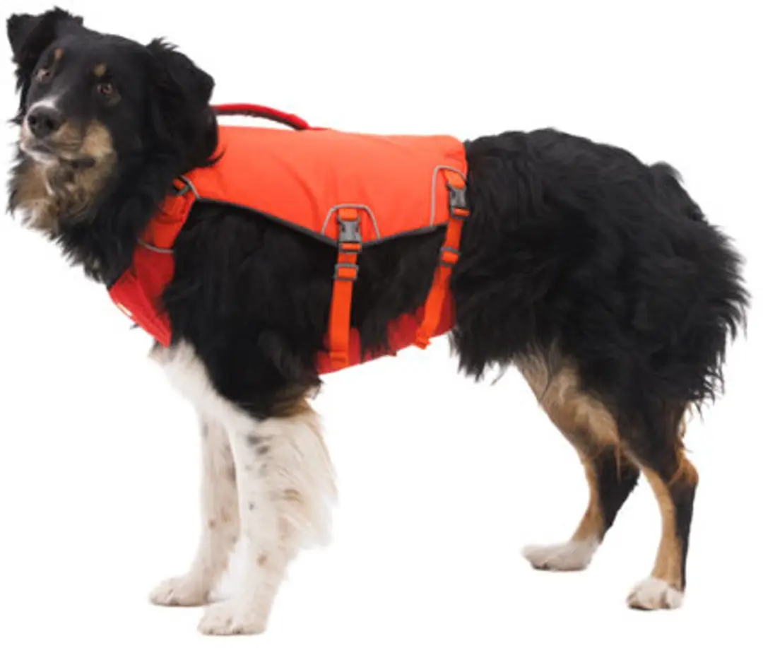 Ruffwear Confluence Dog Life Jacket