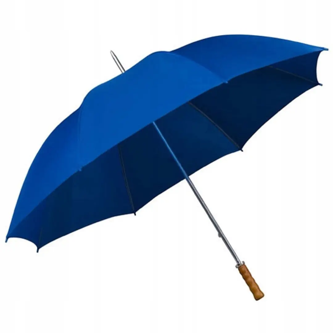 Grote Blauwe Damesparaplu