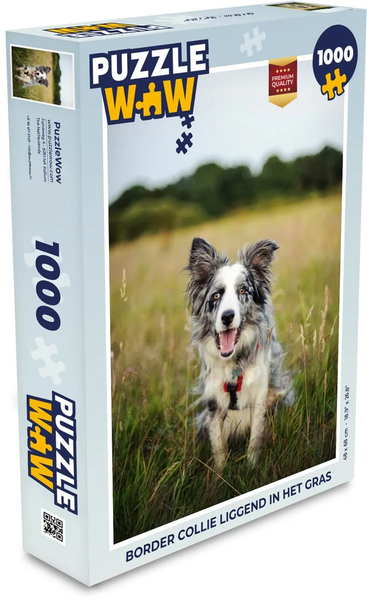 PuzzleWow Border Collie Legpuzzel 1000 Stuks - Multicolor