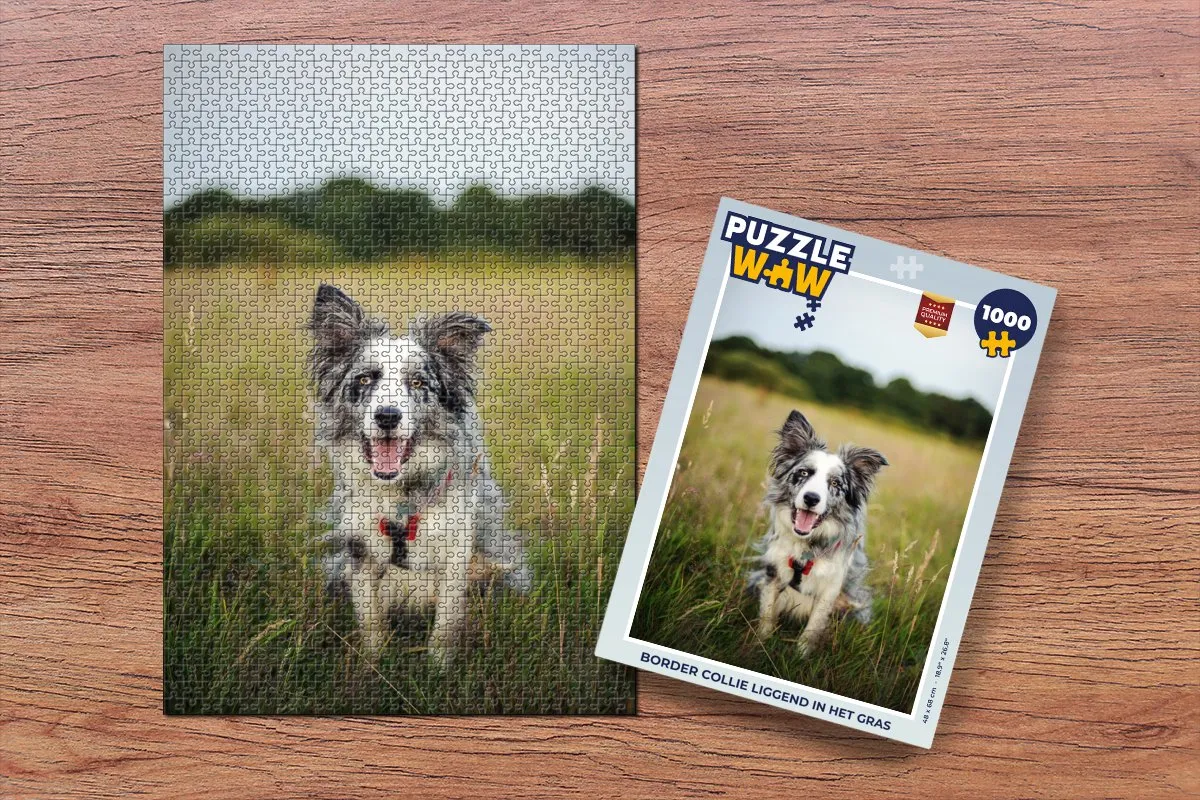 PuzzleWow Border Collie Legpuzzel 1000 Stuks