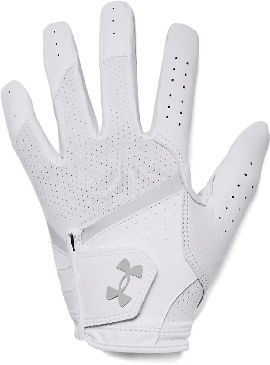 Under Armour Dames Golfhandschoen Iso Chill