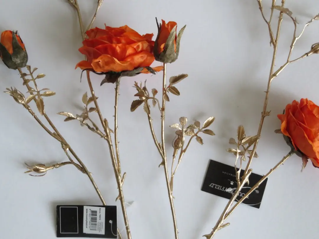 Rosa S oranje