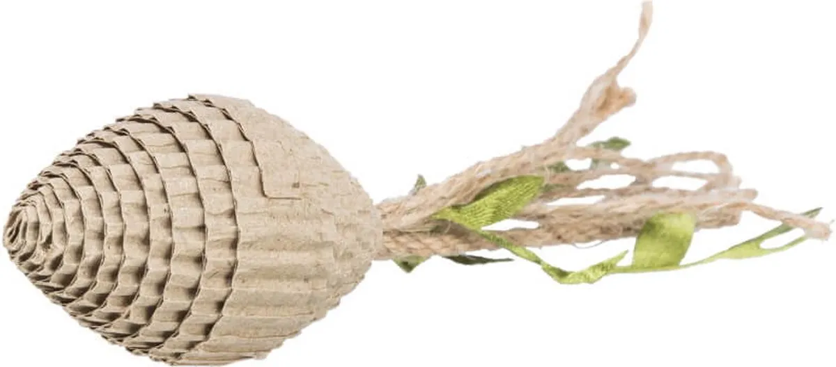 Trixie Dennenappel Karton 13cm