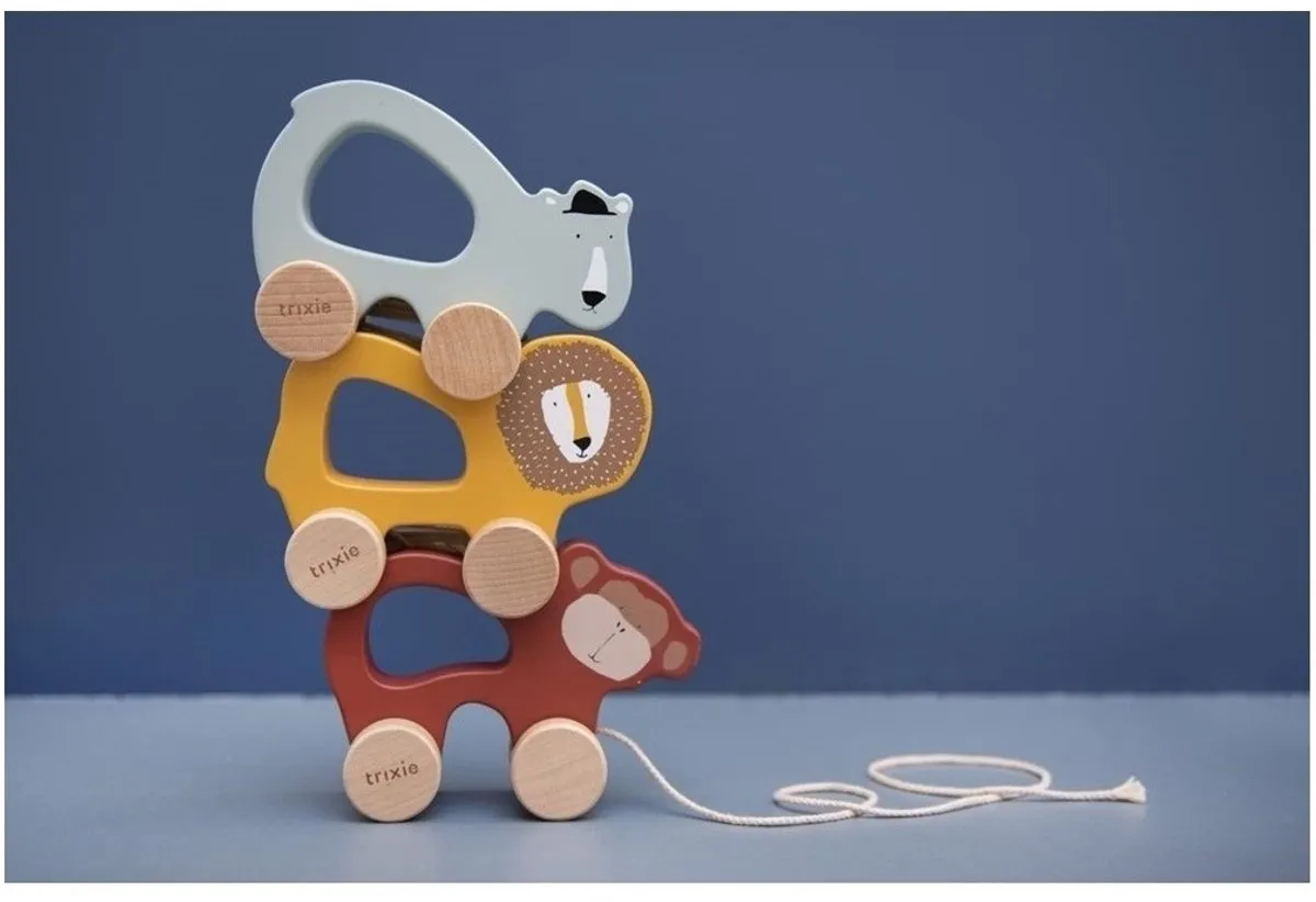 Trixie Mr. Polar Bear Houten Trekspeeltje - Groen