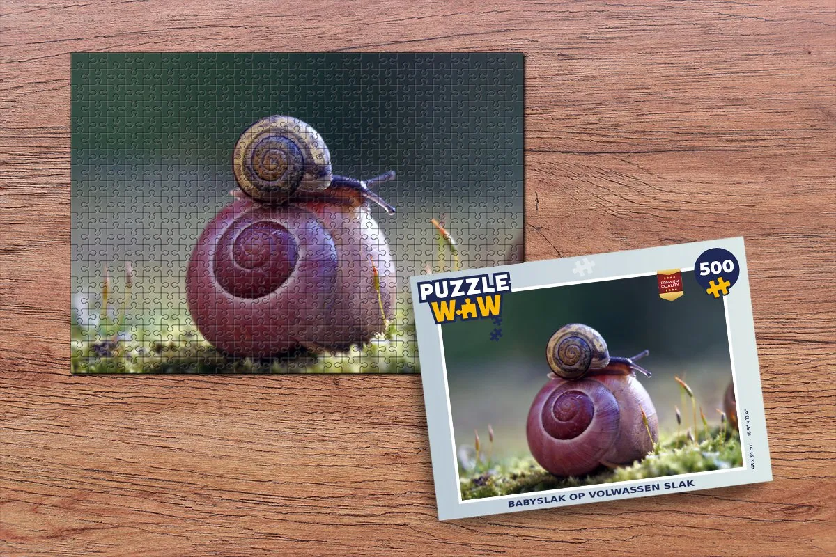 PuzzleWow Slakken Gras Lente Legpuzzel 500 Stuks - Multicolor