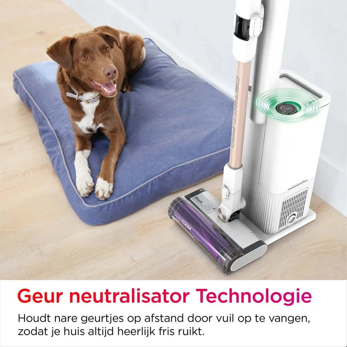 Shark Detect Clean & Empty IW3612EU Draadloze Stofzuiger - Wit/Goud