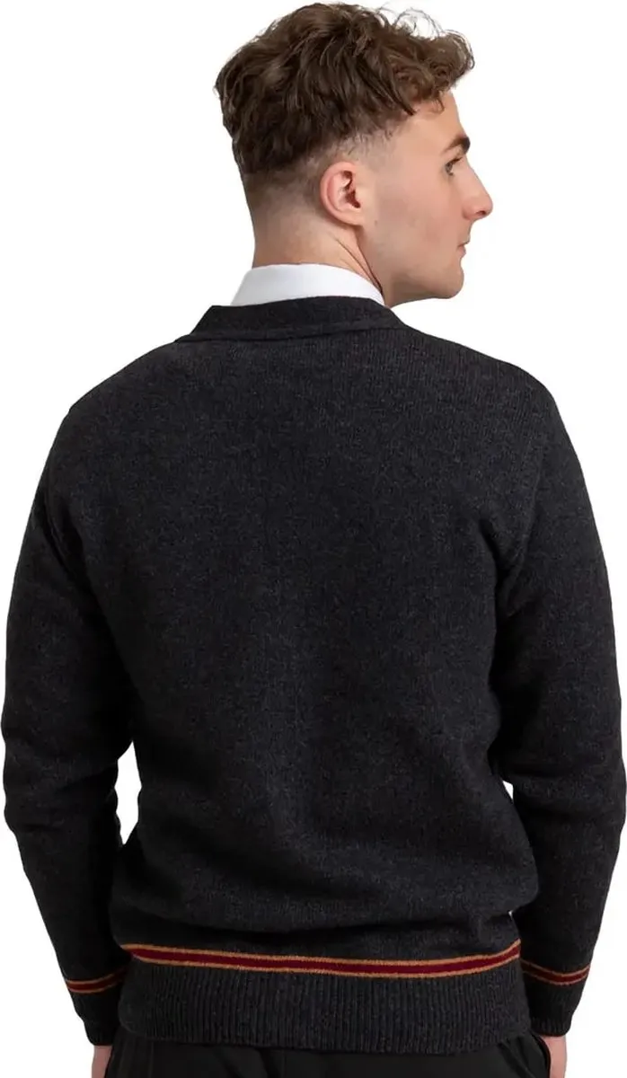 Harry Potter Lochaven Gryffindor V-Neck Cardigan M - Multi