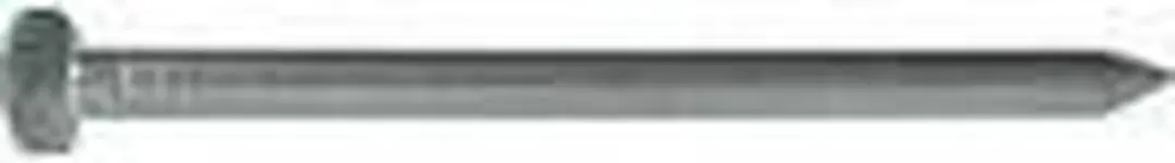 Draadnagel rvs 1.8x30mm bolkop (1kg)