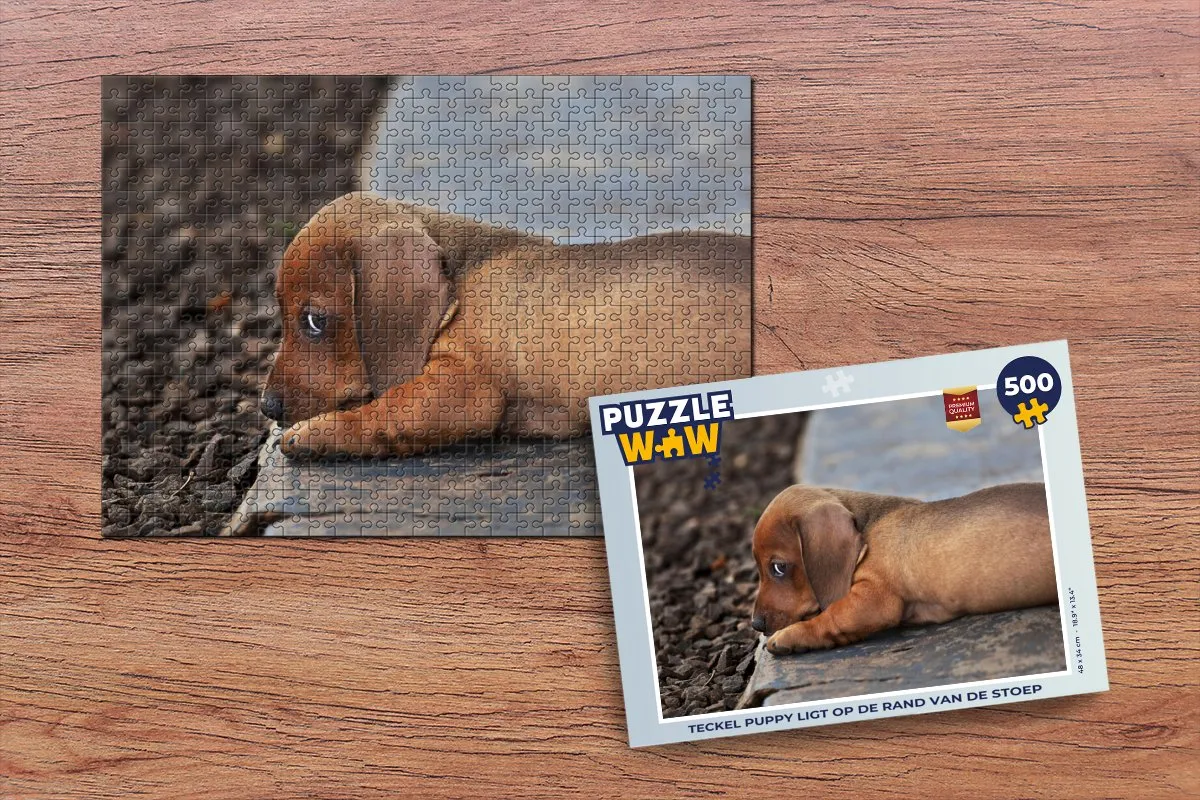 PuzzleWow Teckel Puppy Legpuzzel 500 Stuks - Multicolor