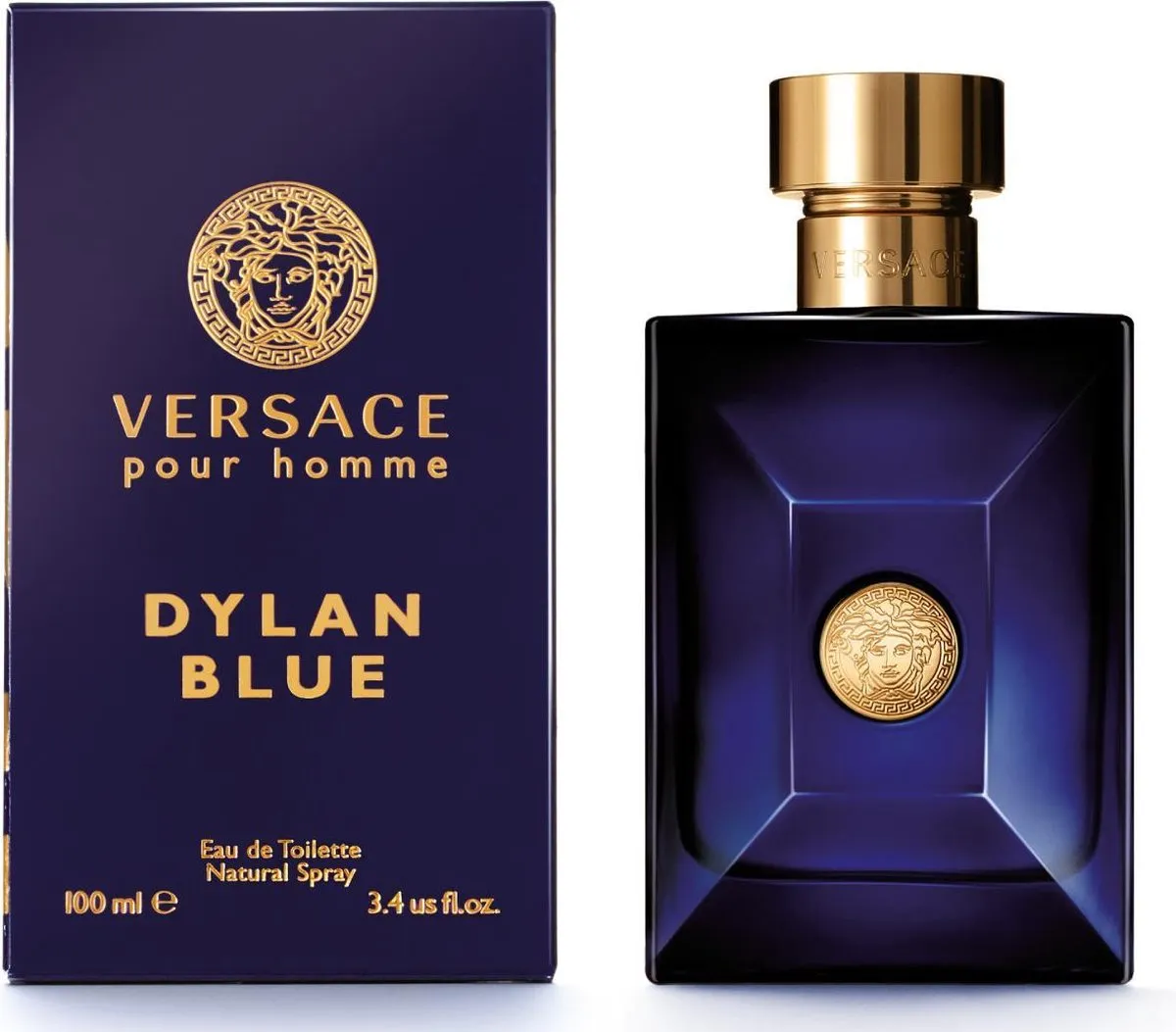 Versace Dylan Blue Herenparfum 100ml
