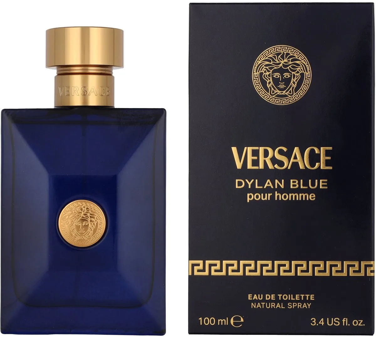 Versace Dylan Blue Herenparfum 100ml