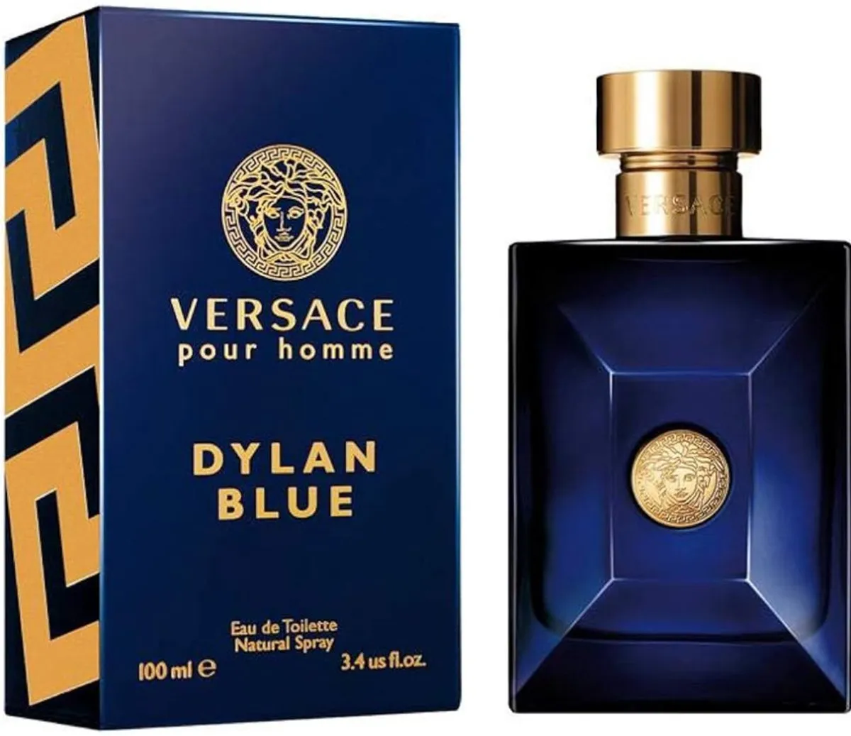 Versace Dylan Blue Herenparfum 100ml