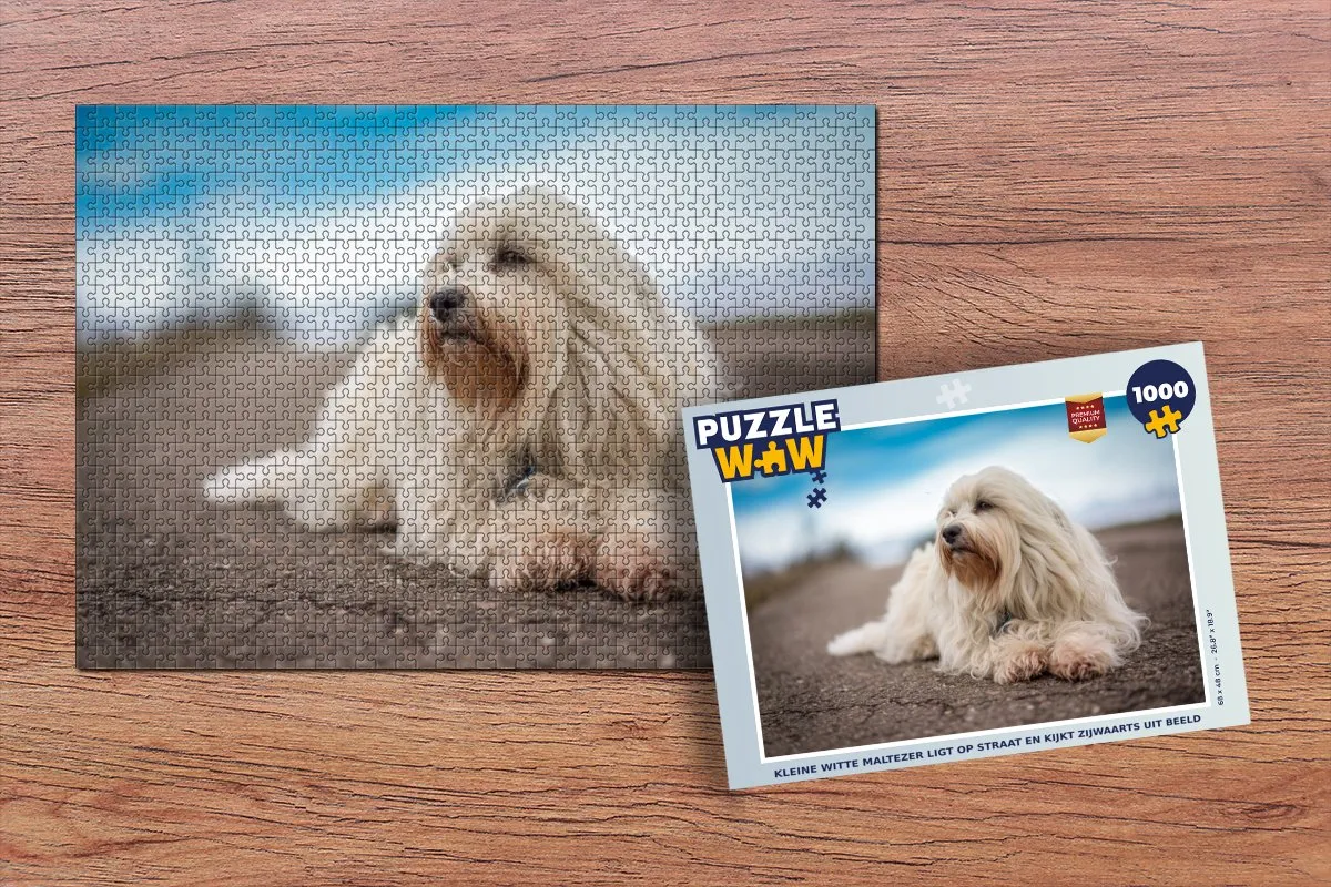 PuzzleWow Legpuzzel 1000 Stuks - Maltezer Multicolor