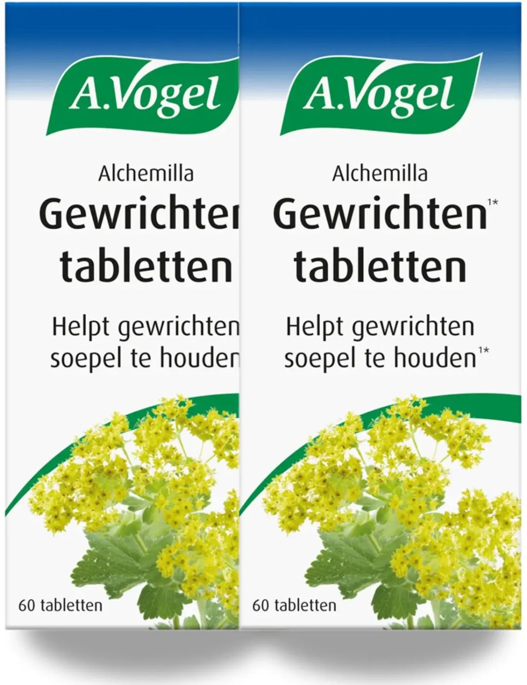 A.Vogel Alchemilla Gewrichten
