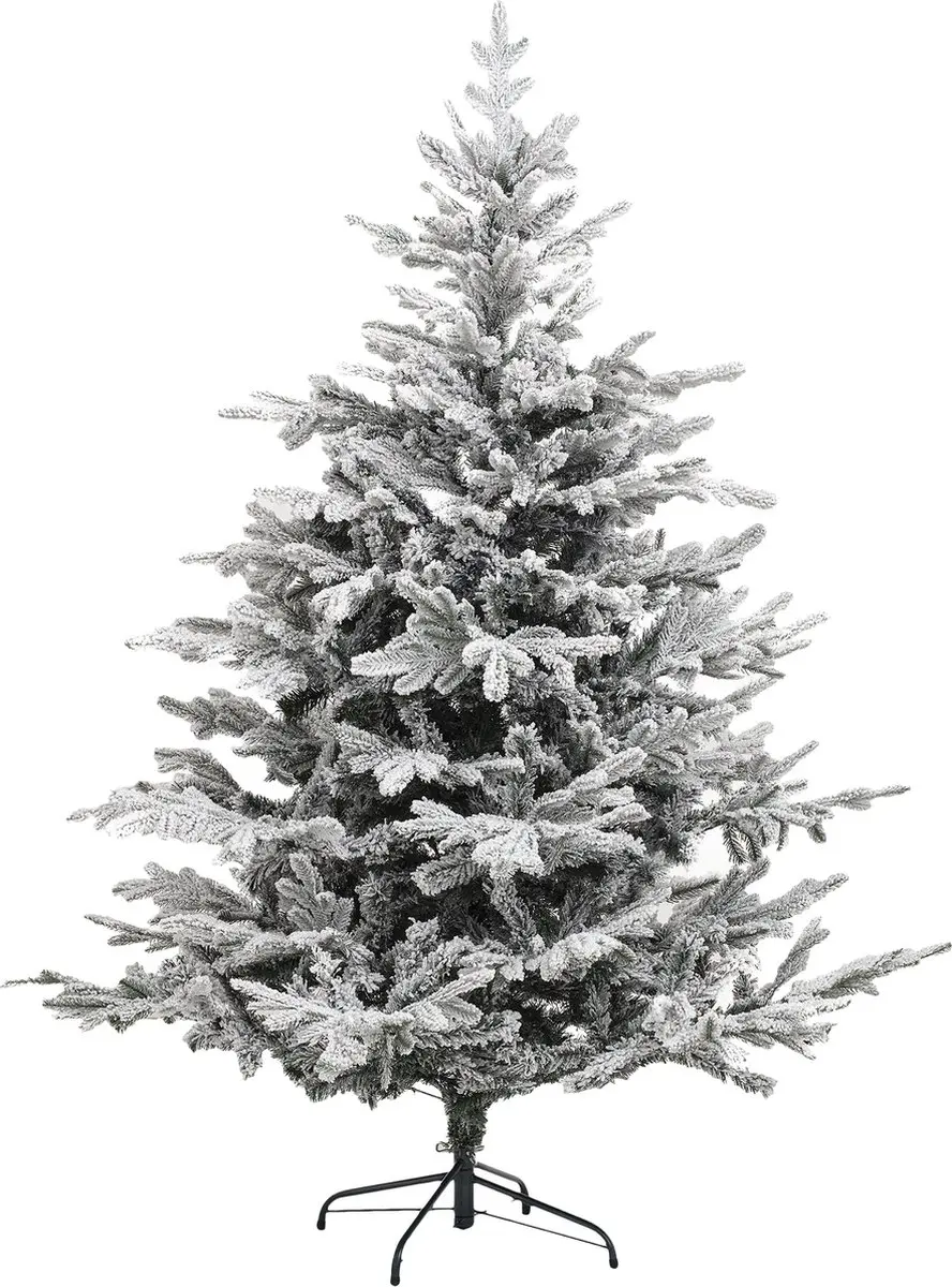 Kerstboom