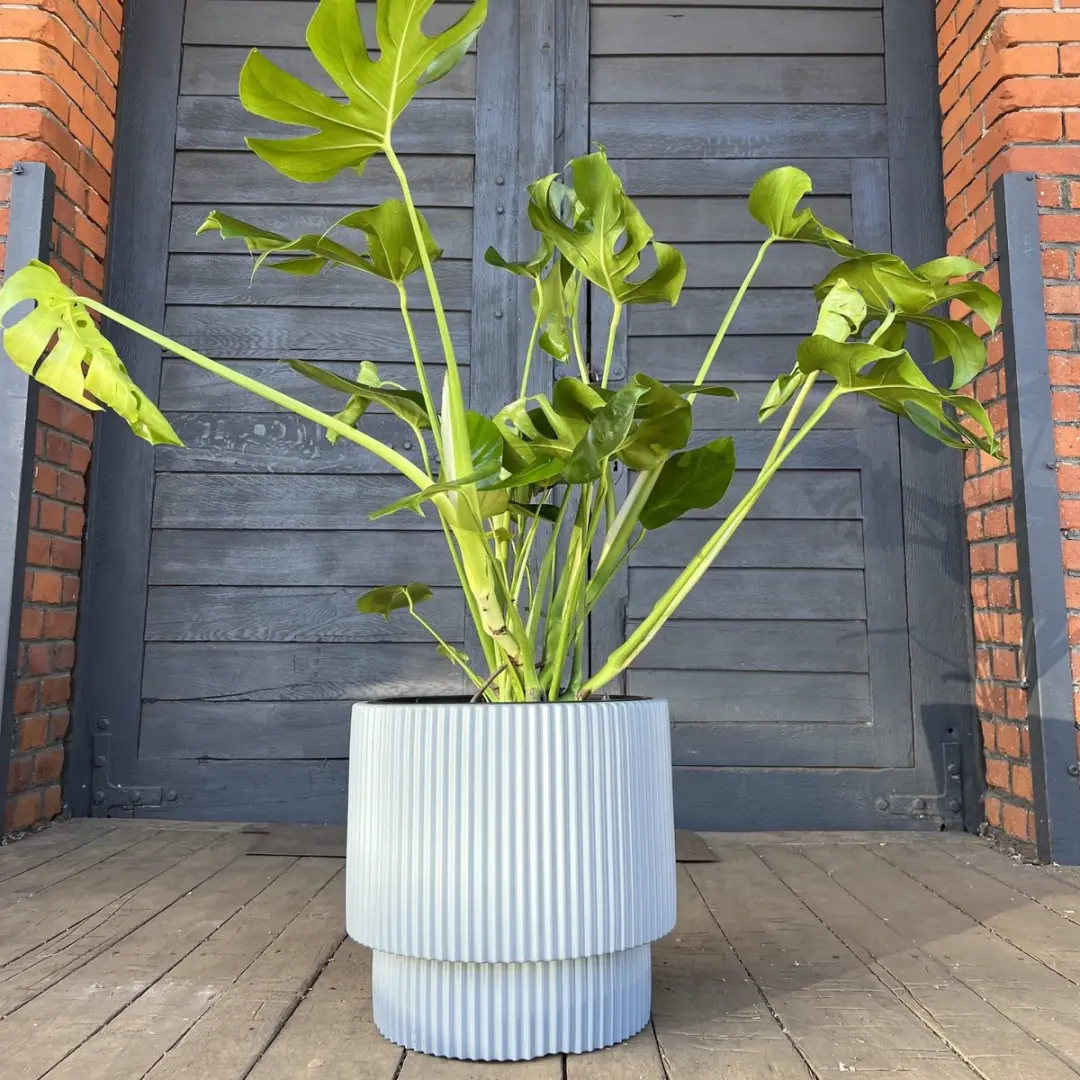 Prosperplast Milly Bloempot Rond Ø40cm Wit - afbeelding 2 van 2