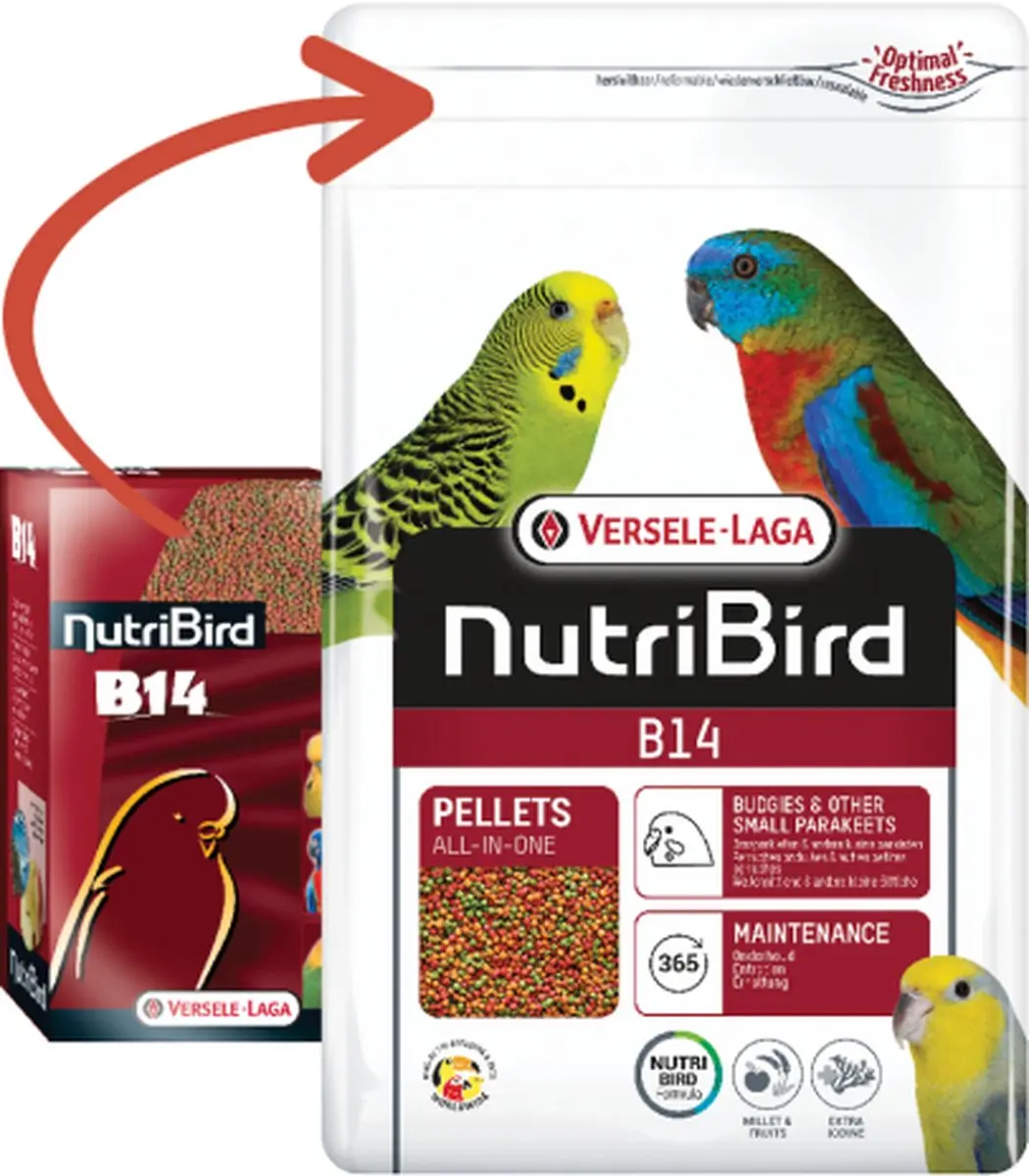 Versele-Laga Nutribird B14 Parkiet Onderhoudsvoer - 800g - afbeelding 6 van 6