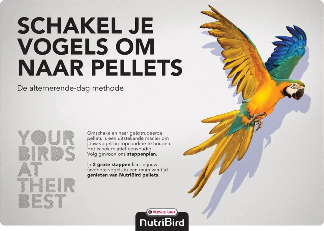 Versele-Laga Nutribird B14 Parkiet Onderhoudsvoer - 800g - afbeelding 4 van 6