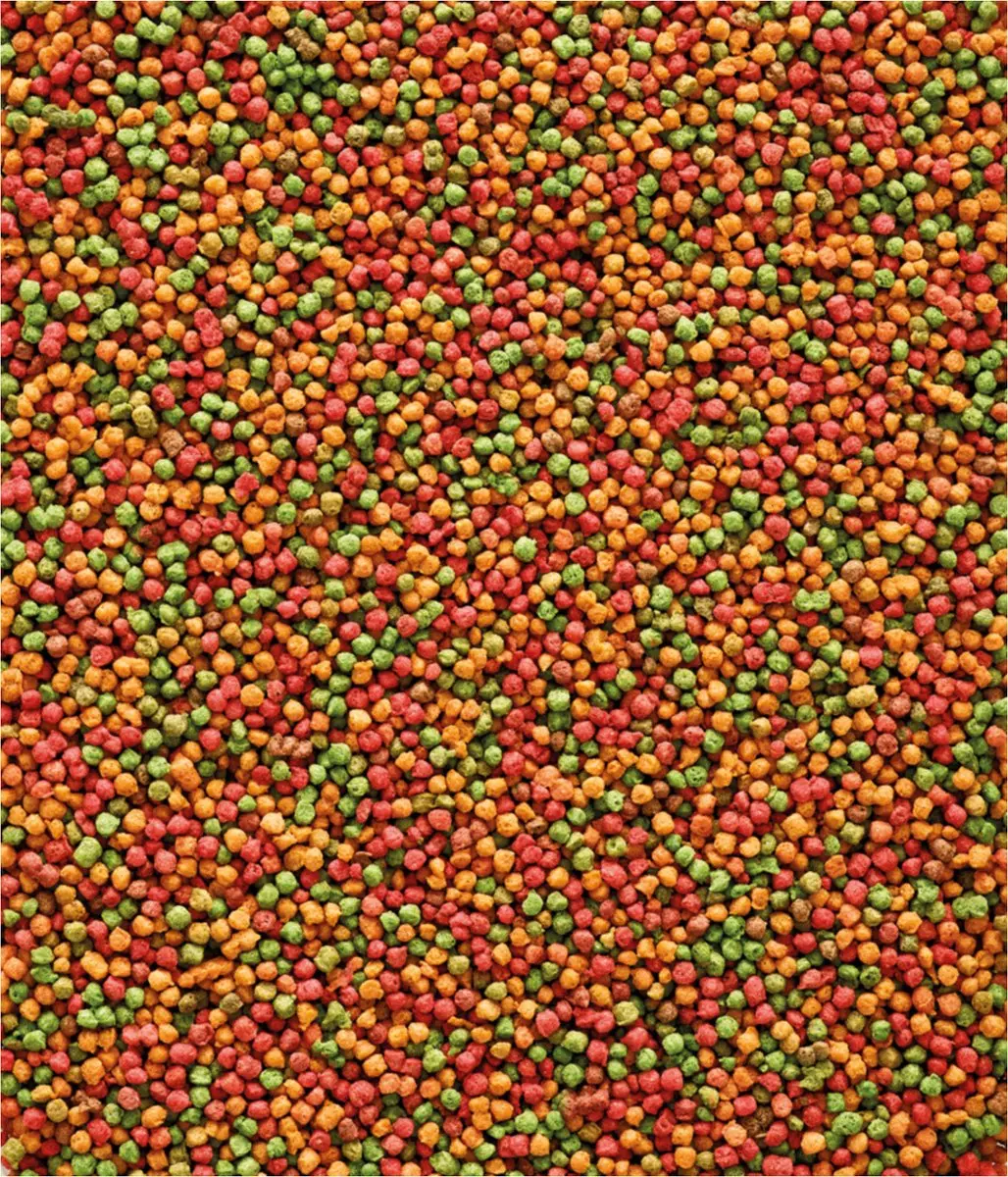 Versele-Laga Nutribird B14 Parkiet Onderhoudsvoer - 800g - afbeelding 3 van 6