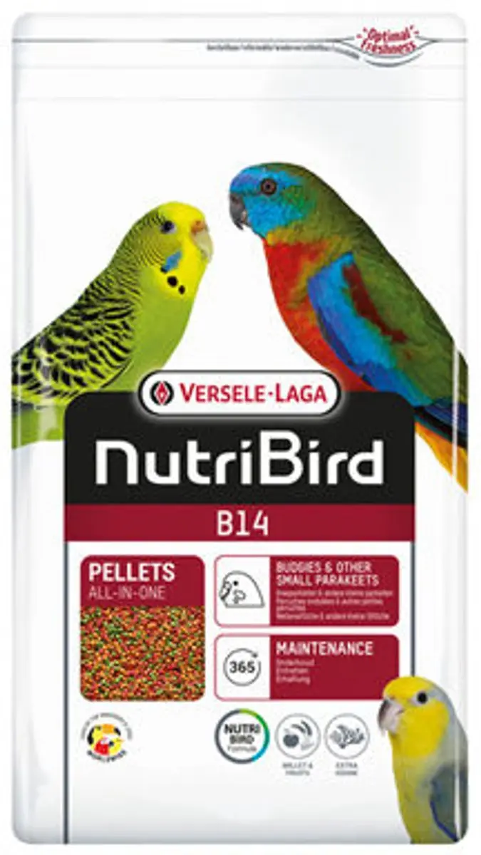 Versele-Laga Nutribird B14 Parkiet Onderhoudsvoer - 800g - afbeelding 5 van 6