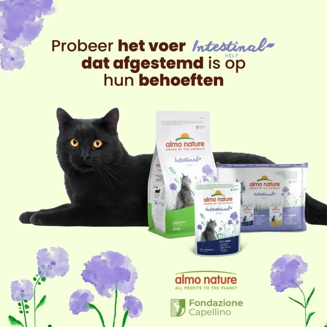 Almo Nature Holistic Natvoer Kat Vis en Gevogelte - 6 x 70g - afbeelding 3 van 6
