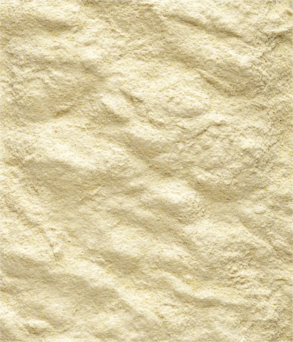 Versele-Laga Nutribird A19 Papegaai Vogelvoer - 3 kg - afbeelding 2 van 6