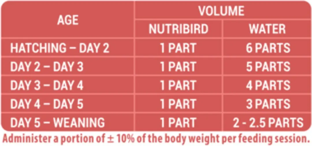 Versele-Laga Nutribird A19 Papegaai Vogelvoer - 3 kg - afbeelding 4 van 6