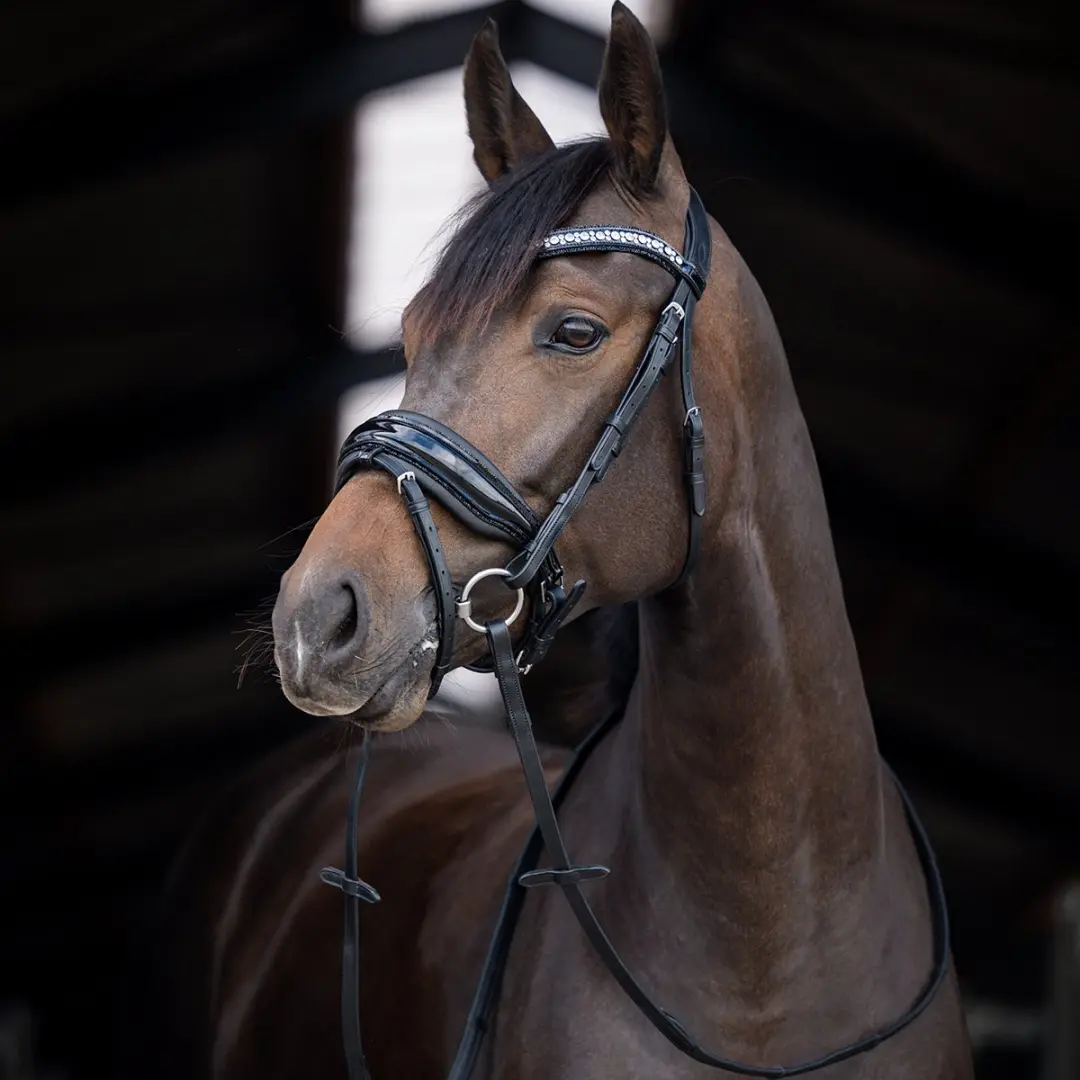 ShowTime Stockholm Hoofdstel - Pony - Zwart - afbeelding 5 van 6