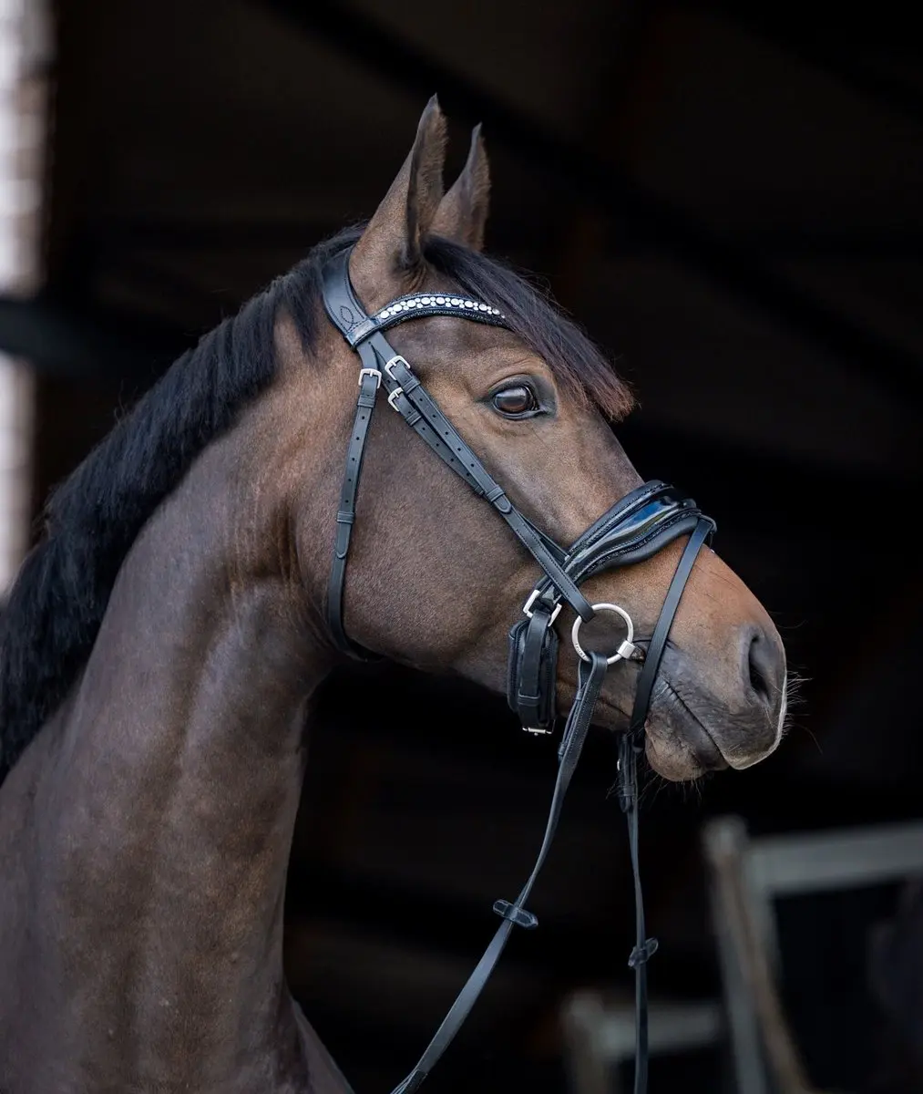 ShowTime Stockholm Hoofdstel - Pony - Zwart - afbeelding 6 van 6