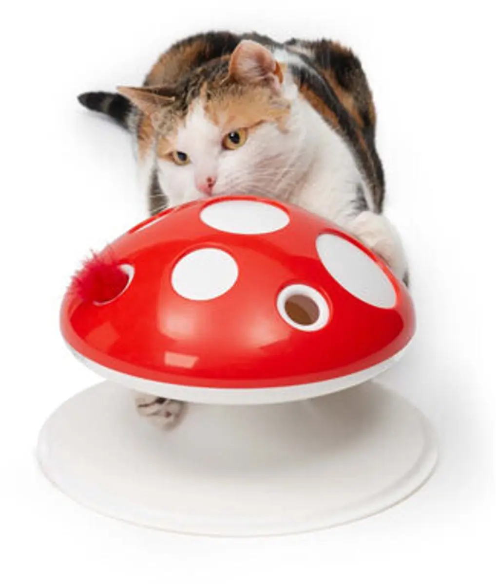Catit Senses 2.0 Mushroom Kattenspeelgoed - Rood/Wit - afbeelding 3 van 5