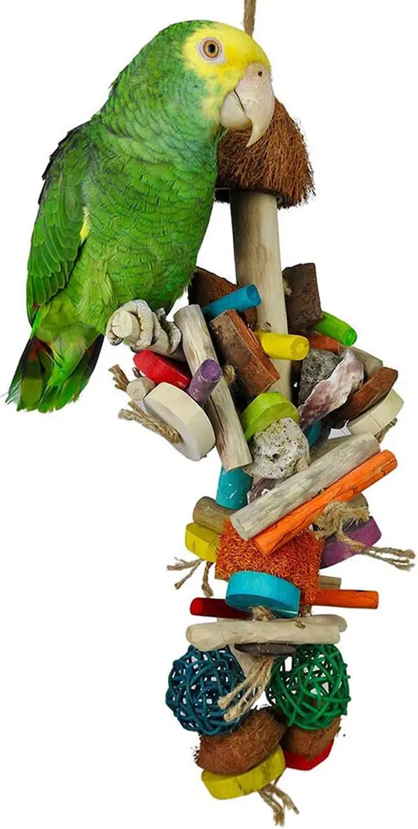 Java bush coconut pumice toy papegaaienspeelgoed