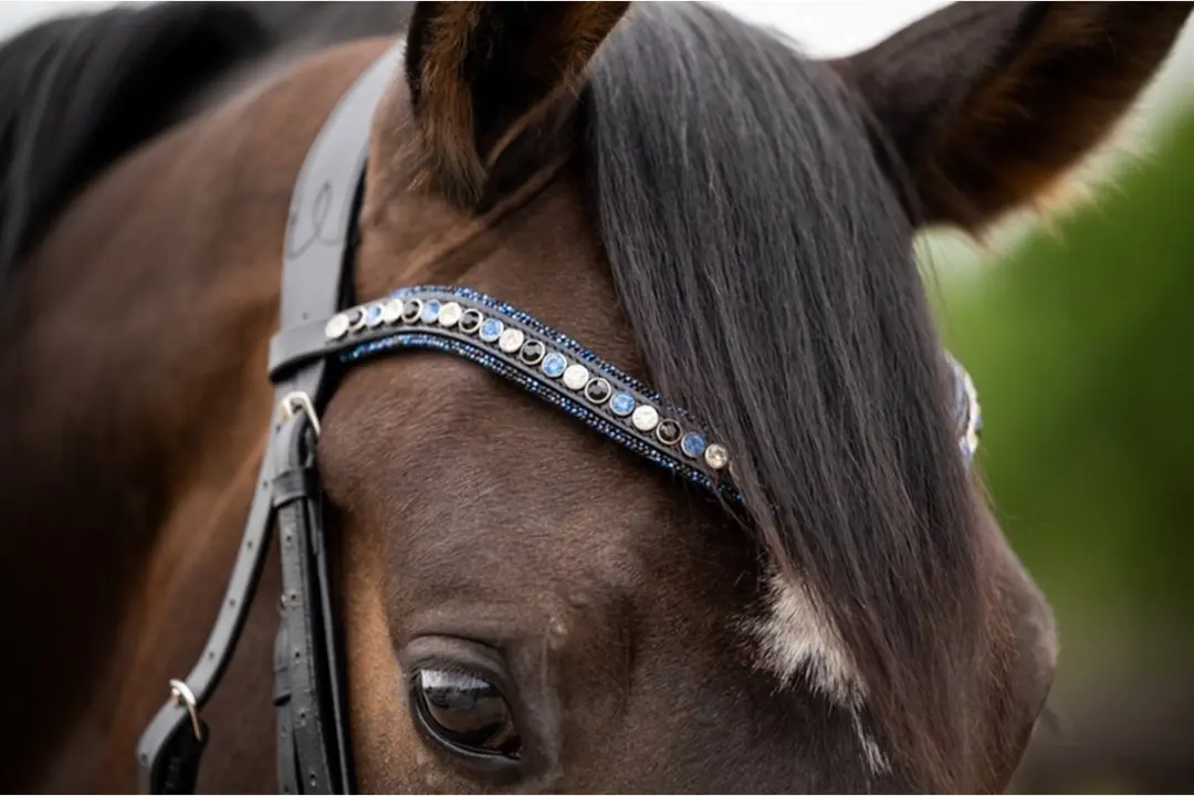 HB ShowTime Las Vegas Glitter Hoofdstel - Zwart-blauw - Full - afbeelding 2 van 6