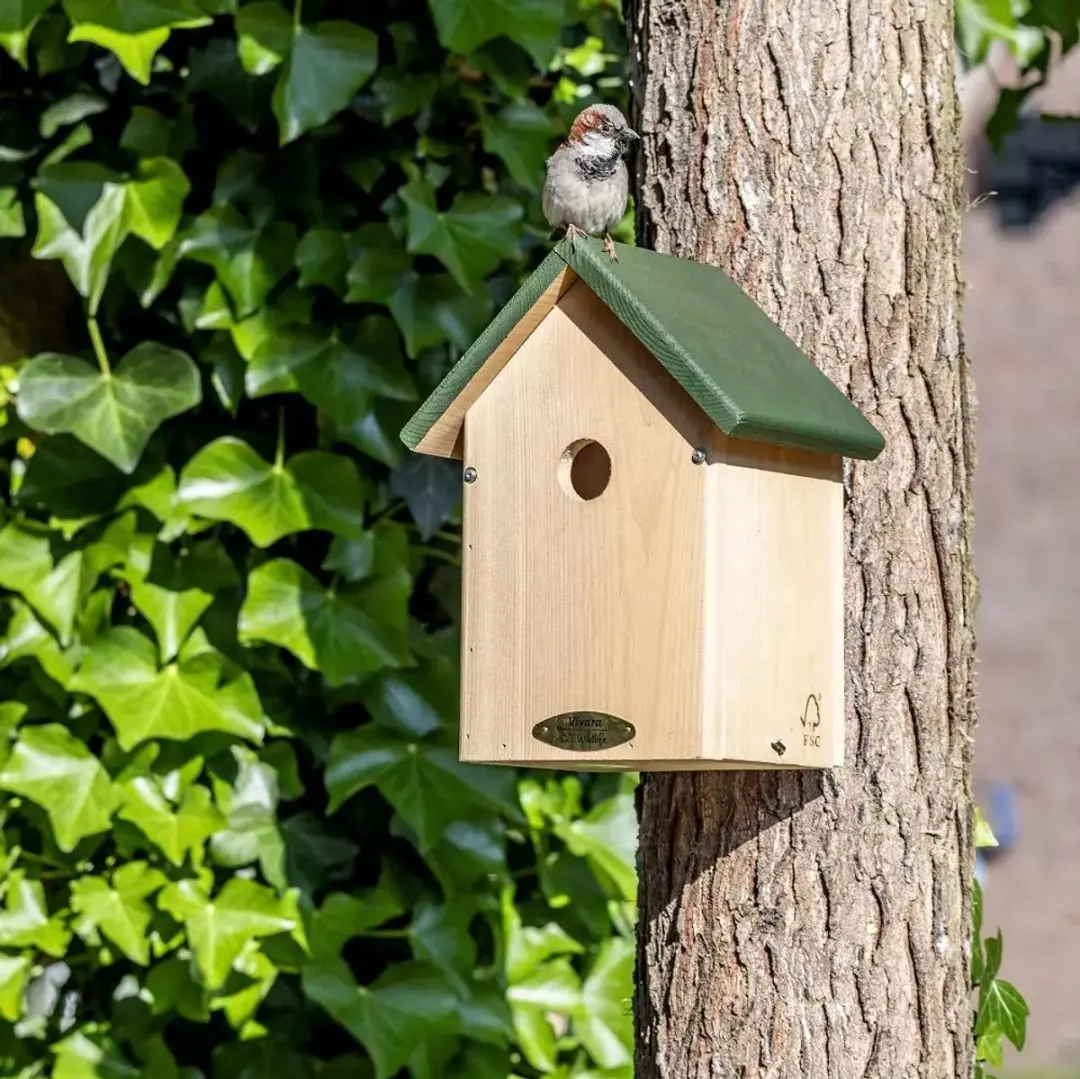 Vogelbescherming Nederland Nestkast Oklahoma D 34mm - afbeelding 2 van 3