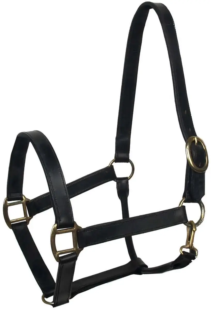 Baseline Leren Halster - Pony - Zwart - afbeelding 2 van 2