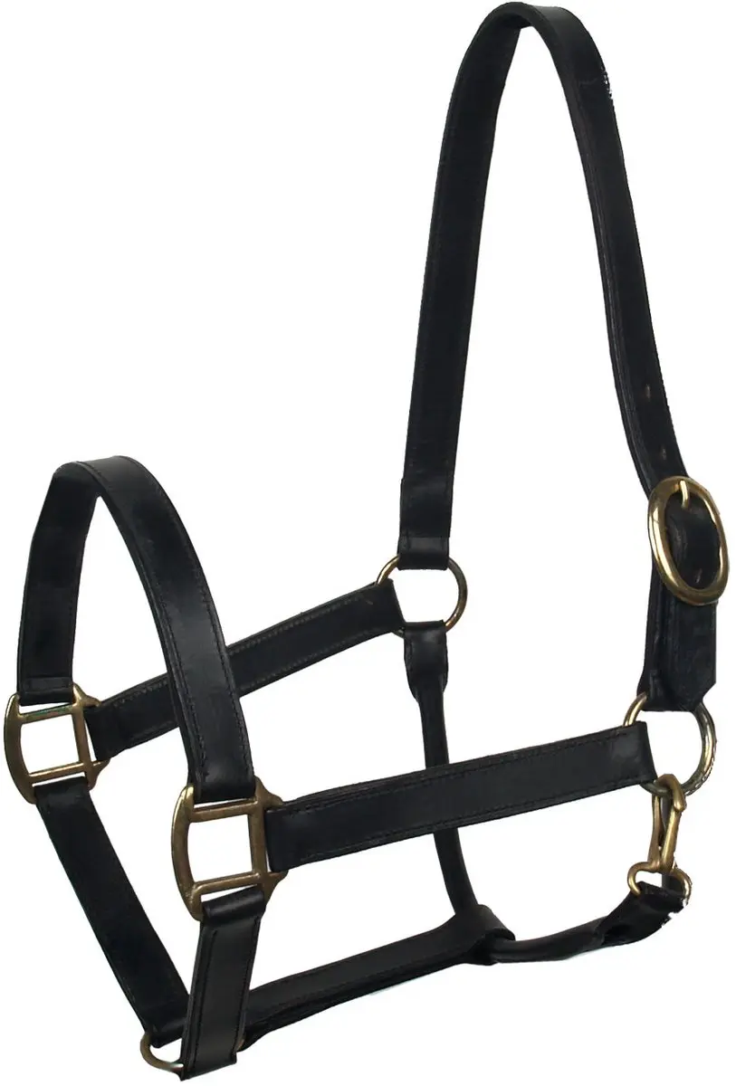Baseline Leren Halster