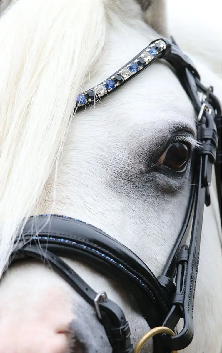 ShowTime Special HB Hoofdstel A-Pony - Zwart-blauw - afbeelding 3 van 6