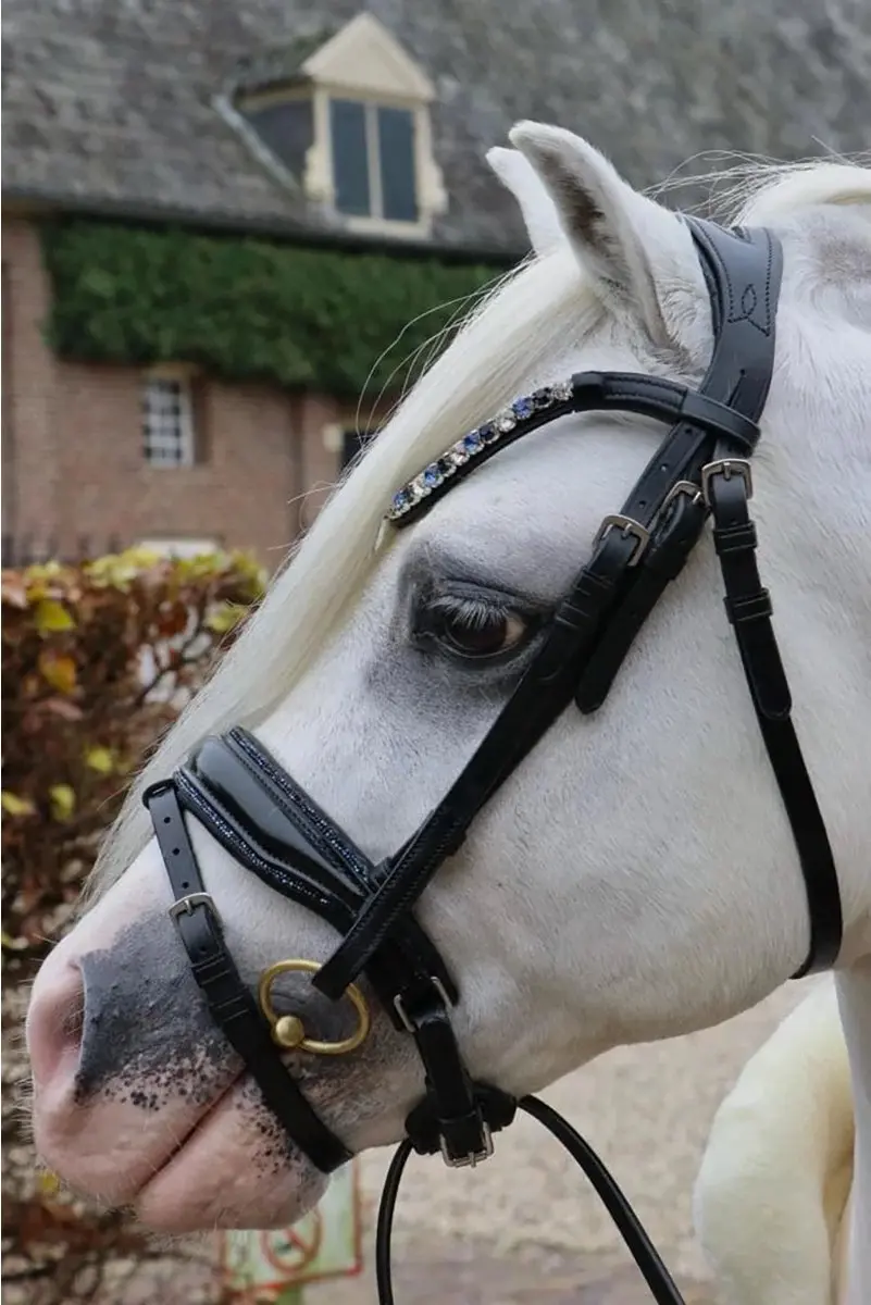 ShowTime Special HB Hoofdstel A-Pony - Zwart-blauw - afbeelding 6 van 6