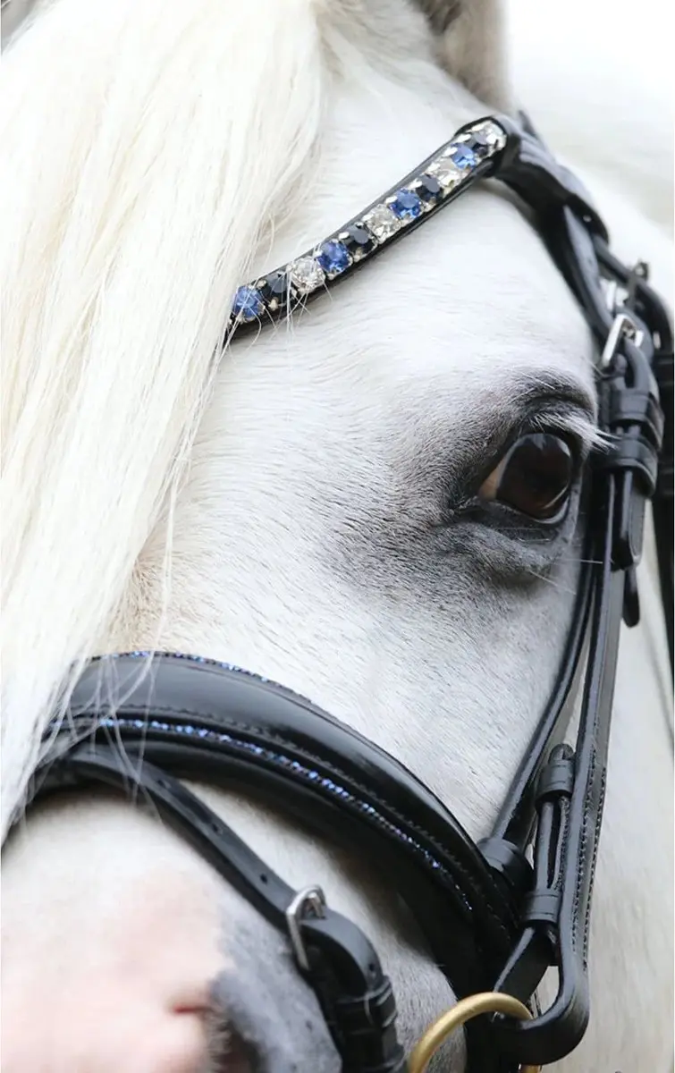 ShowTime Special HB Hoofdstel A-Pony - Zwart-blauw - afbeelding 5 van 6