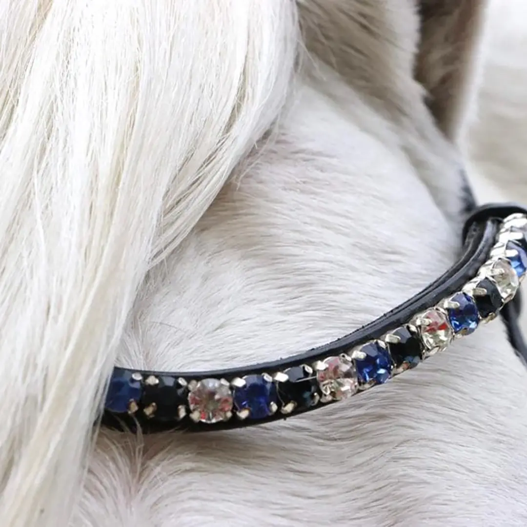 ShowTime Special HB Hoofdstel A-Pony - Zwart-blauw - afbeelding 4 van 6