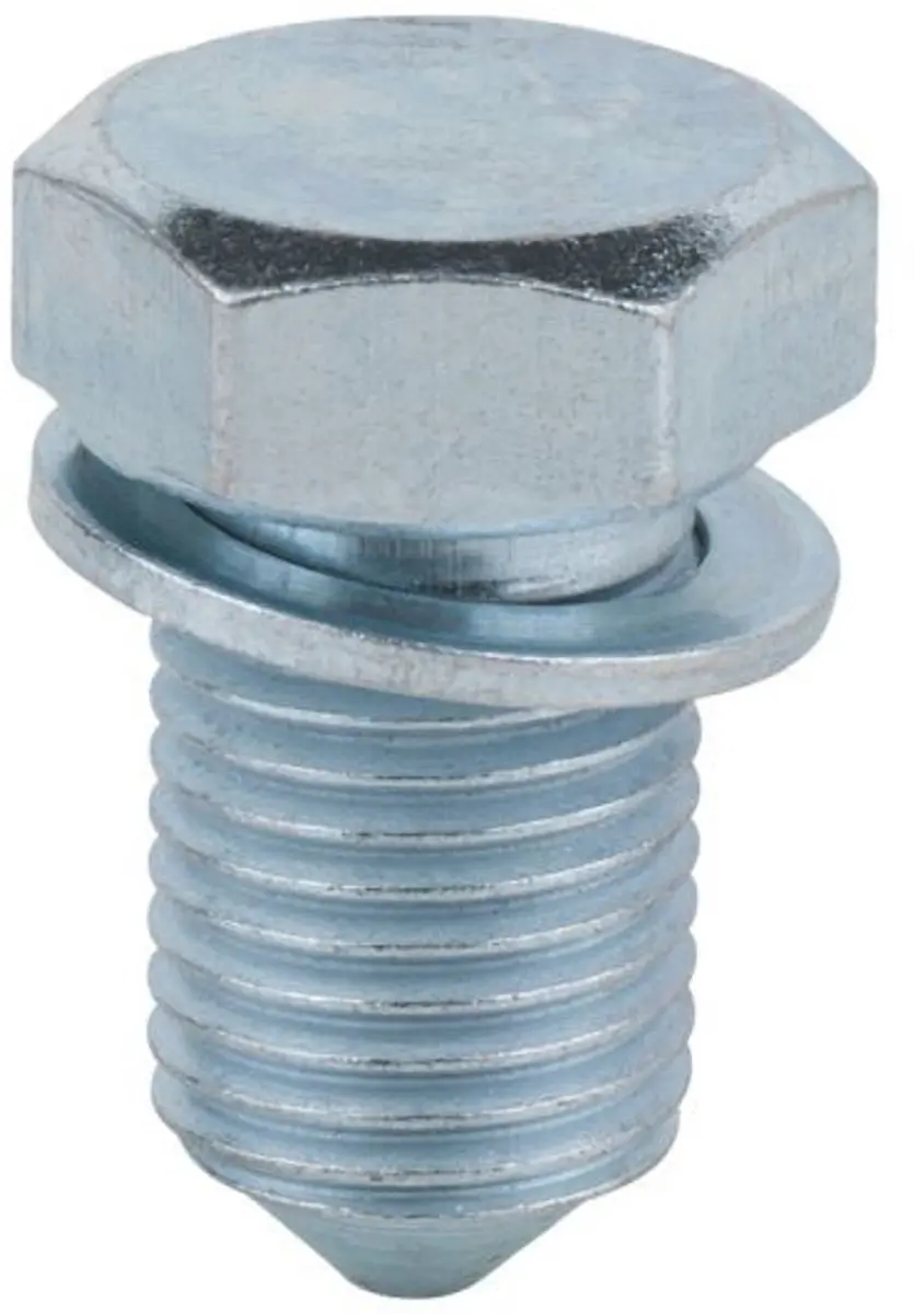 3L-Olieaftapplug met afdichtring 1 stuk N90813201 145921 MN980017 MN9802543
