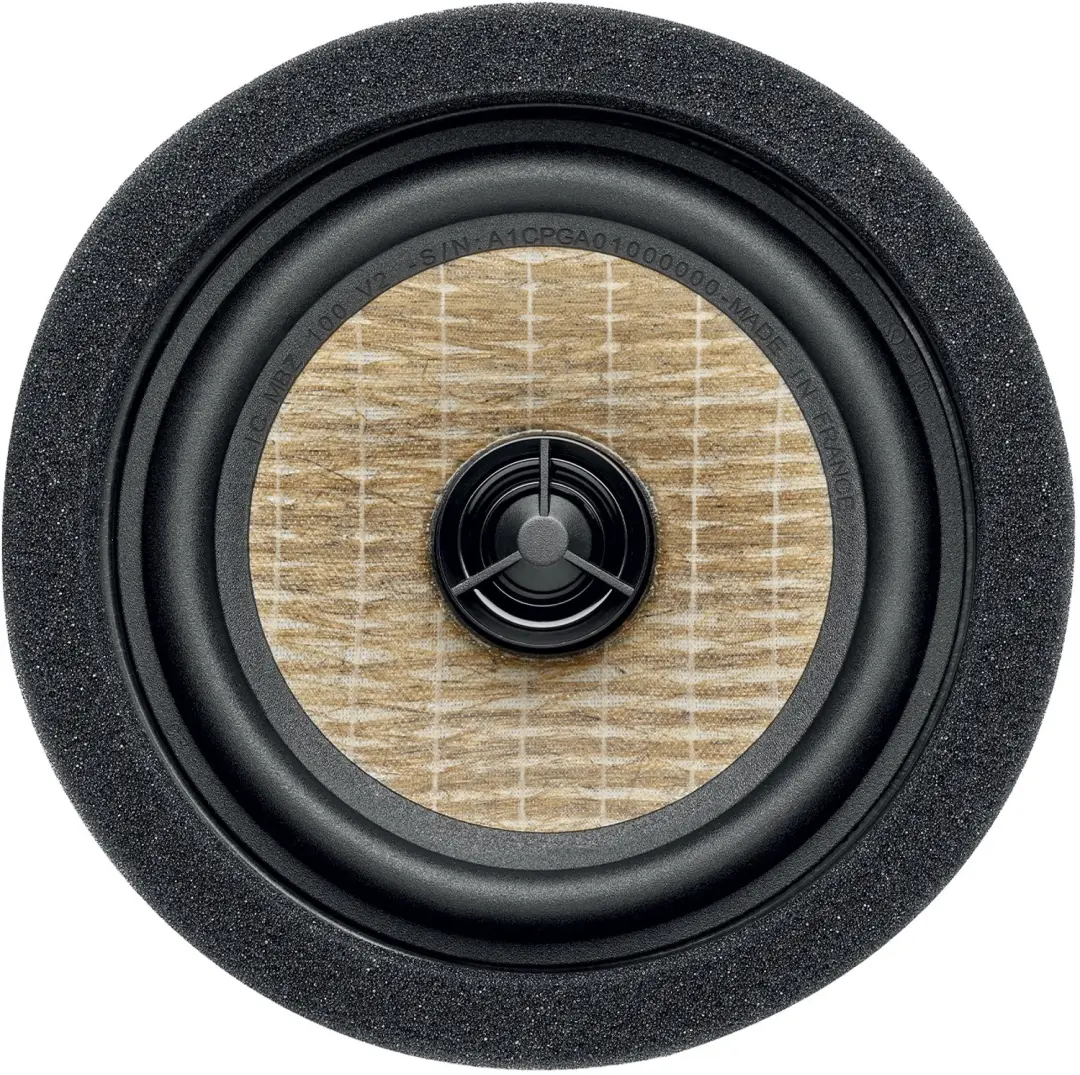 Focal ICMBZ100V2