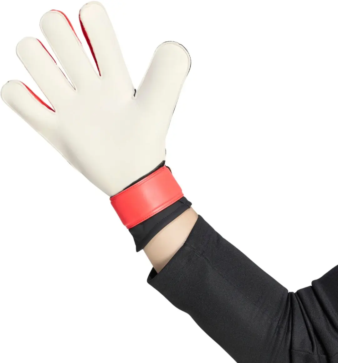adidas Predator Training Keepershandschoenen - Zwart - afbeelding 3 van 6